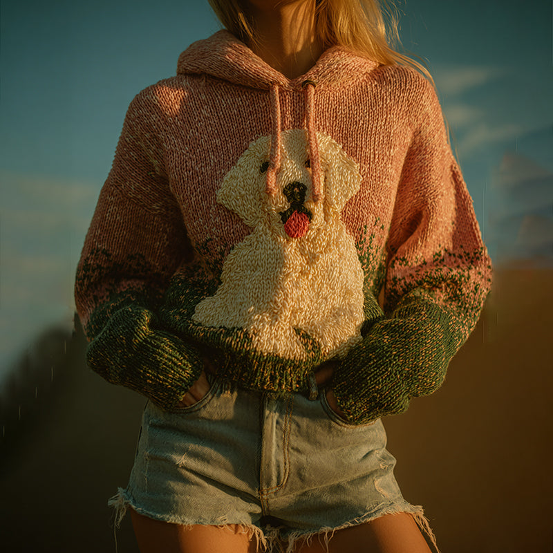 Classic Designed Sweater